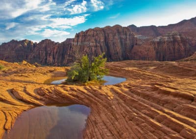snow canyon state park
